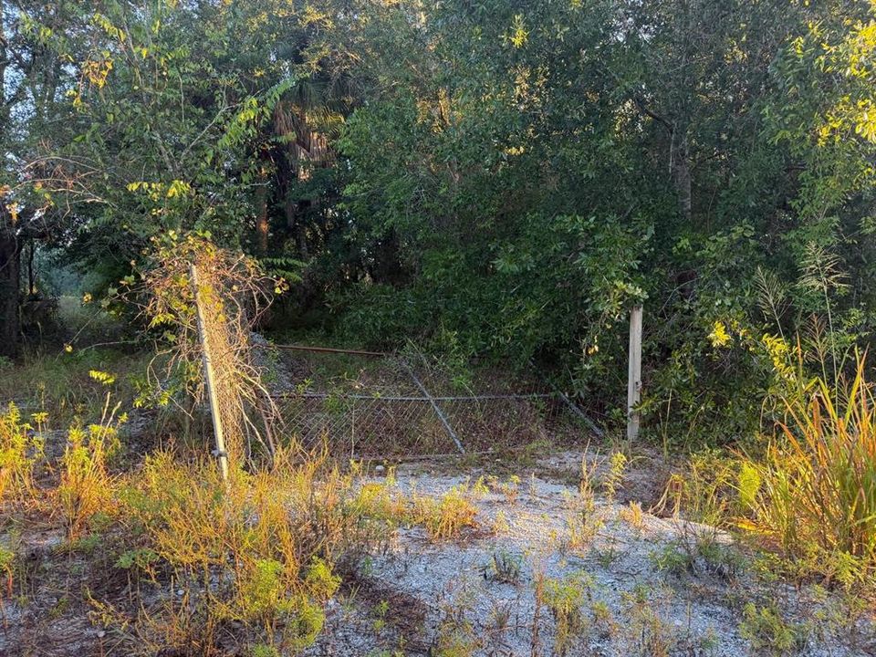 На продажу: $39,900 (1.25 acres)