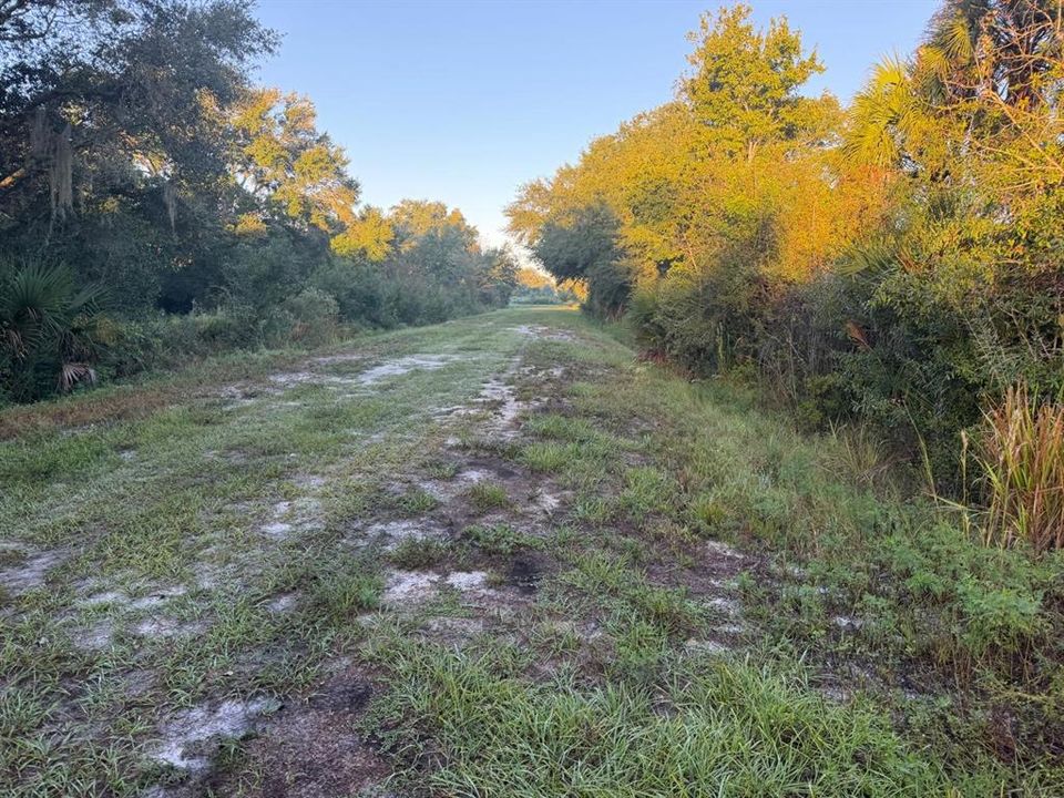 На продажу: $39,900 (1.25 acres)