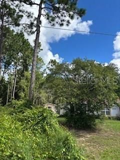 На продажу: $53,900 (0.23 acres)