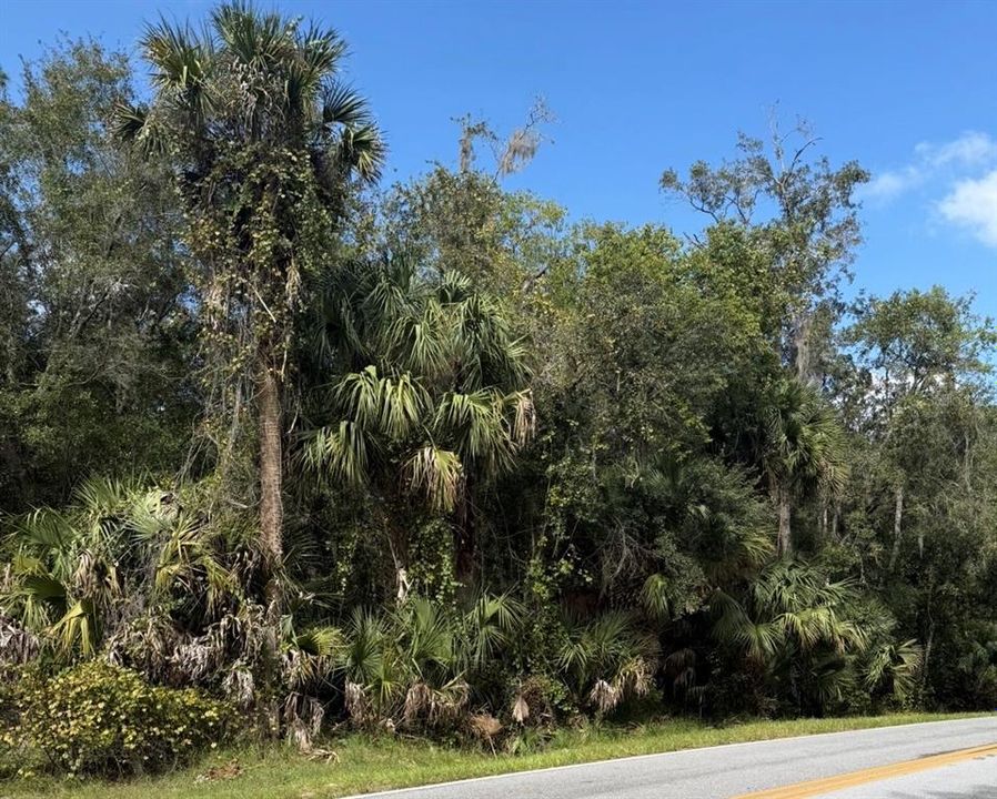 待售: $375,000 (12.11 acres)