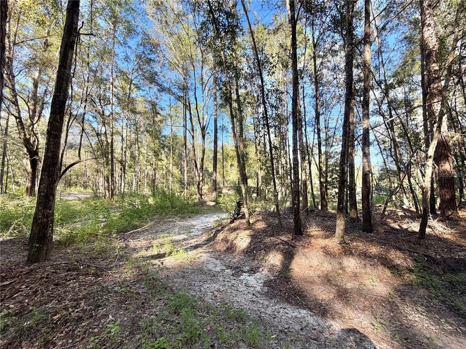 En Venta: $650,000 (5.00 acres)