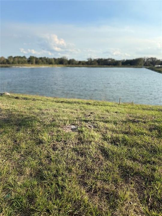 En Venta: $350,000 (4 camas, 3 baños, 2150 Pies cuadrados)