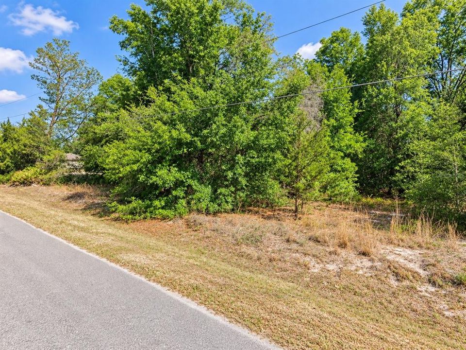 For Sale: $79,900 (1.33 acres)