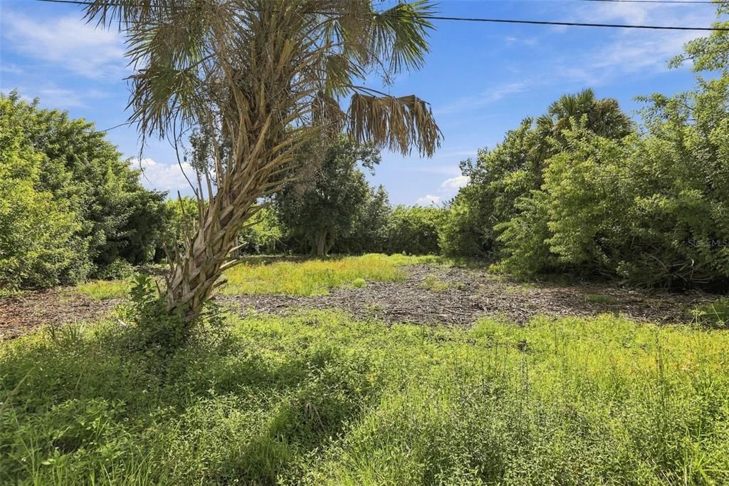 For Sale: $40,000 (0.30 acres)