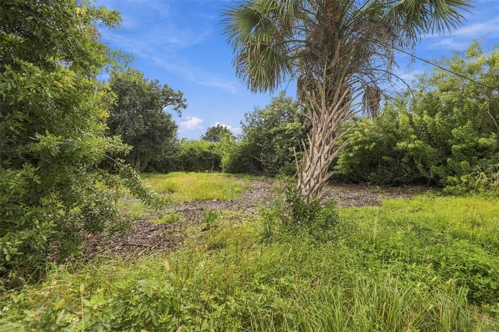 For Sale: $40,000 (0.30 acres)