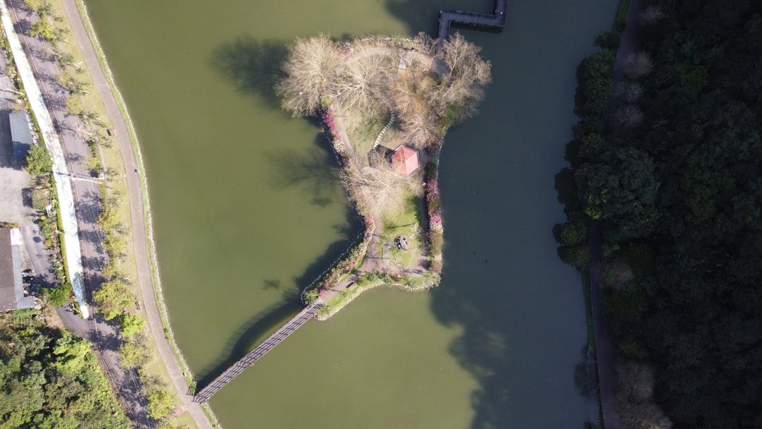 珊瑚泉
