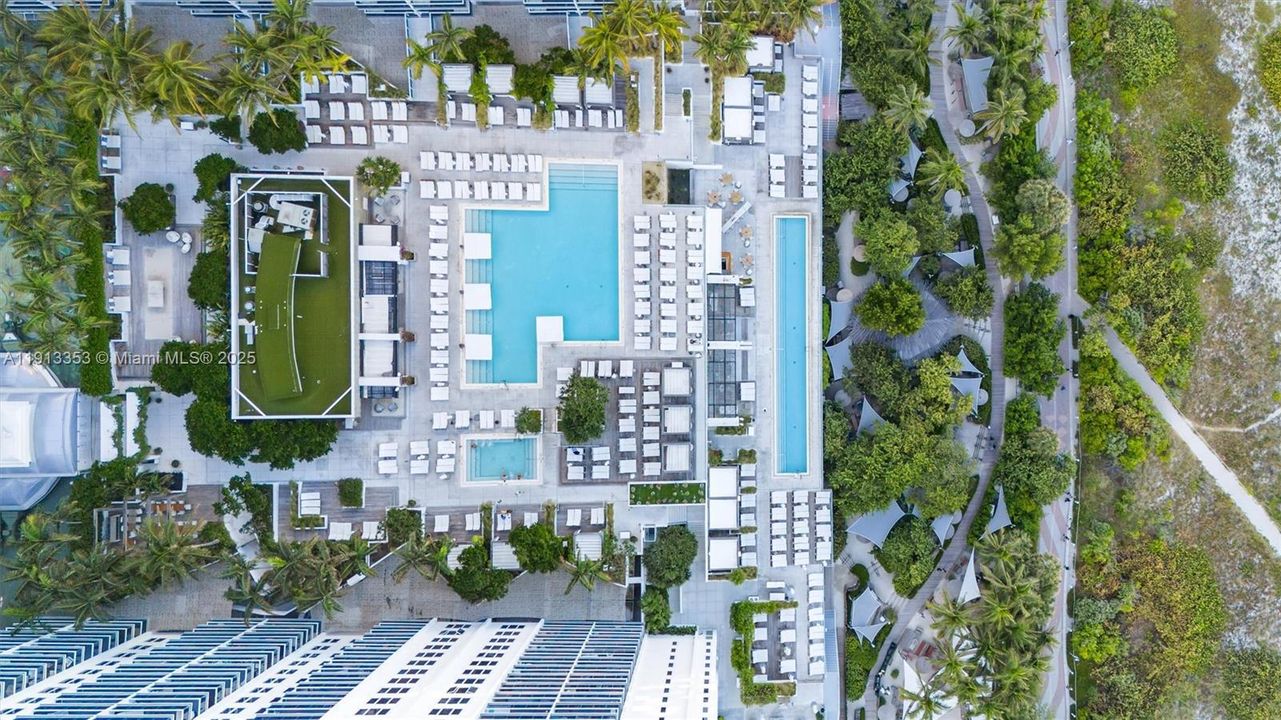 Roney Palace