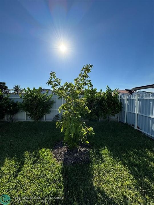 For Sale: $630,000 (4 beds, 2 baths, 1614 Square Feet)