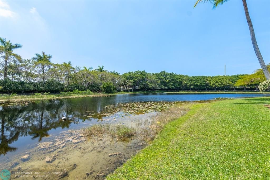 Active With Contract: $1,335,000 (5 beds, 3 baths, 2802 Square Feet)