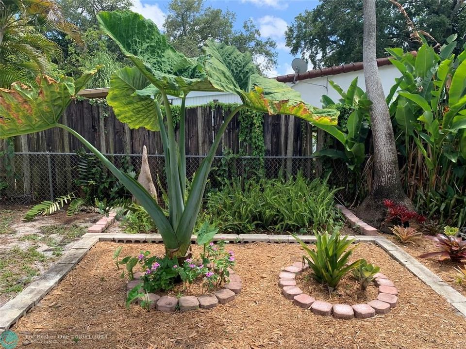 For Sale: $565,000 (3 beds, 2 baths, 1875 Square Feet)