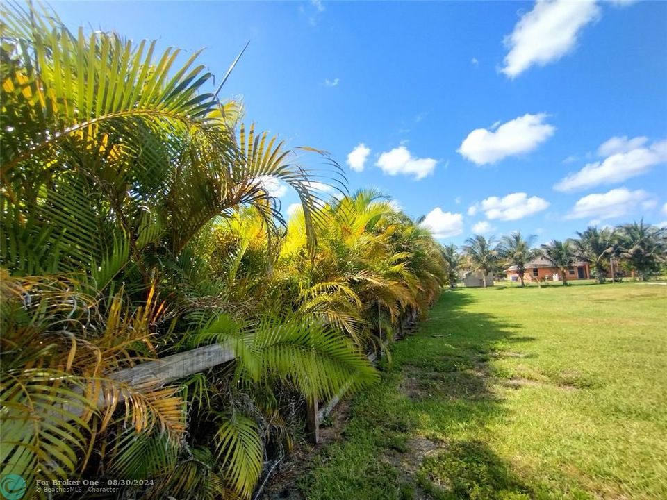 Active With Contract: $795,000 (5 beds, 3 baths, 2641 Square Feet)