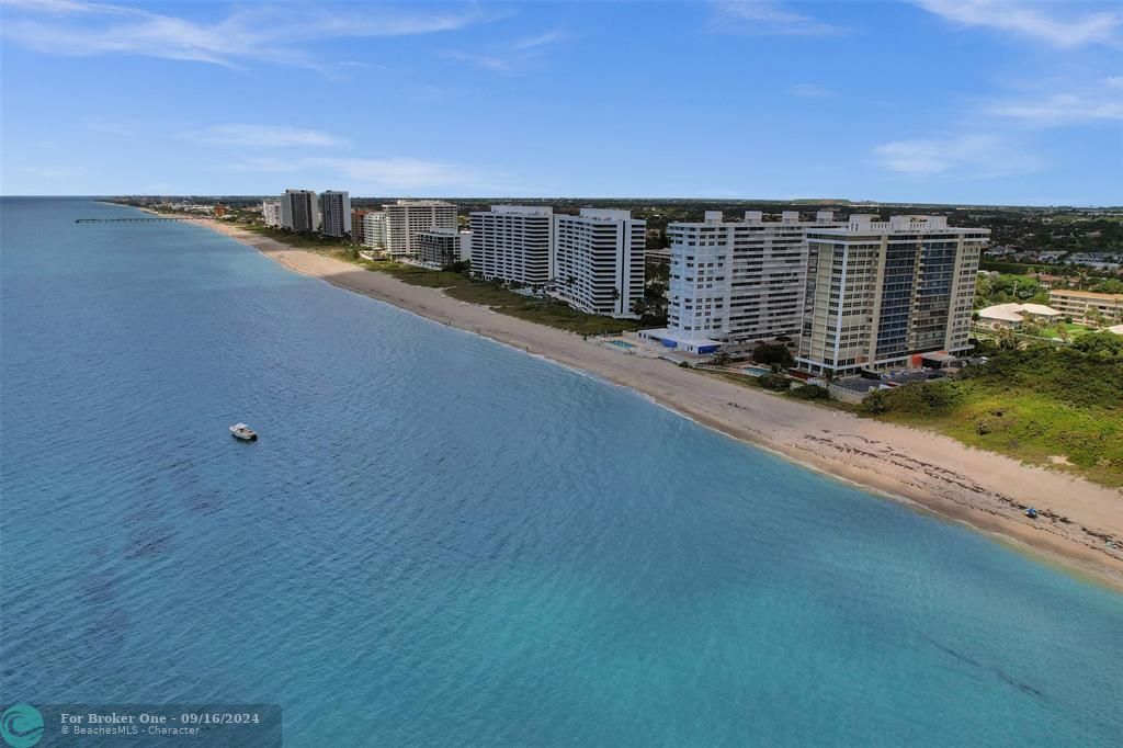 For Sale: $1,250,000 (3 beds, 2 baths, 2006 Square Feet)