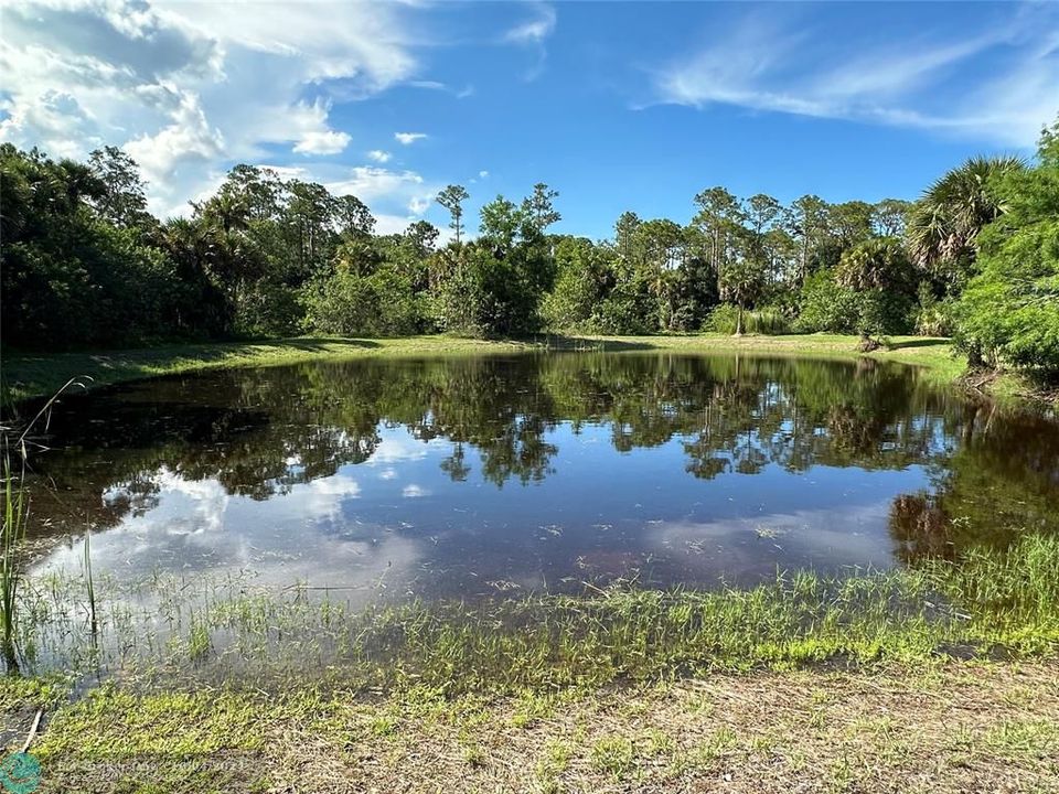 Recientemente alquilado: $5,500 (4 camas, 3 baños, 2311 Pies cuadrados)