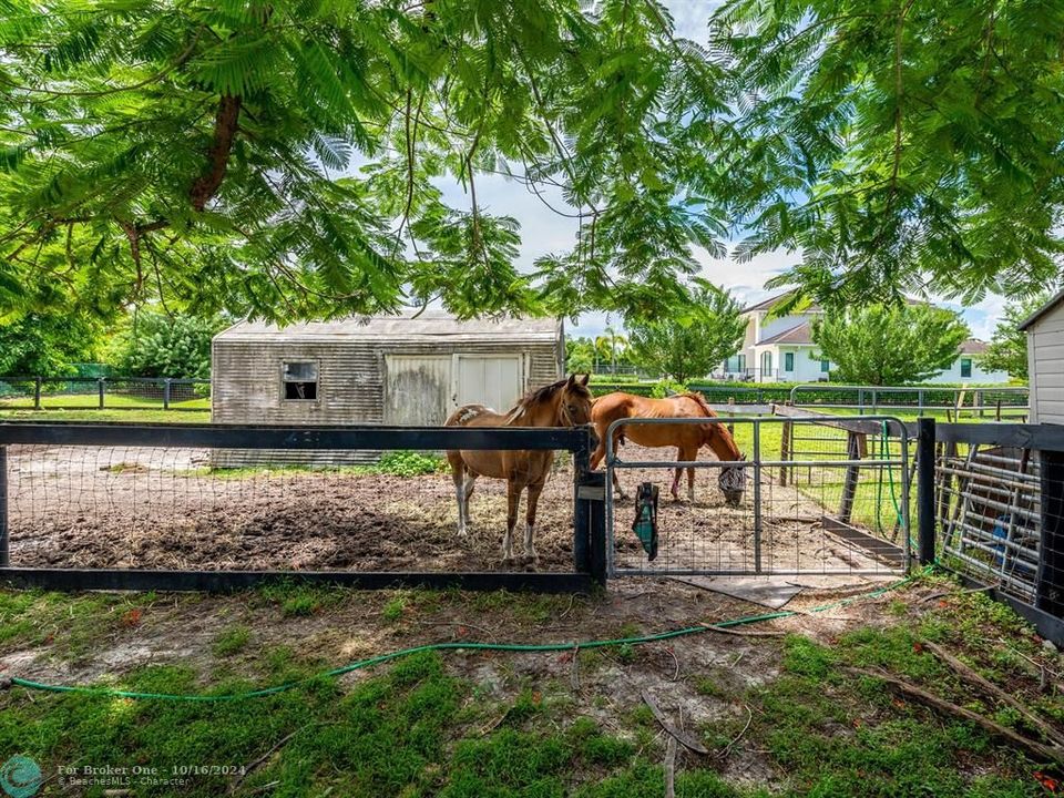 En Venta: $1,999,999 (6 camas, 5 baños, 5000 Pies cuadrados)