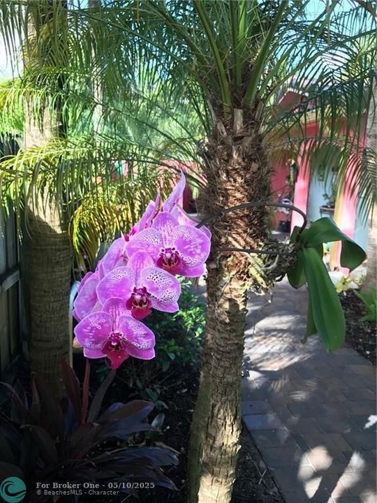 For Rent: $950,000 (0 beds, 0 baths, 1800 Square Feet)