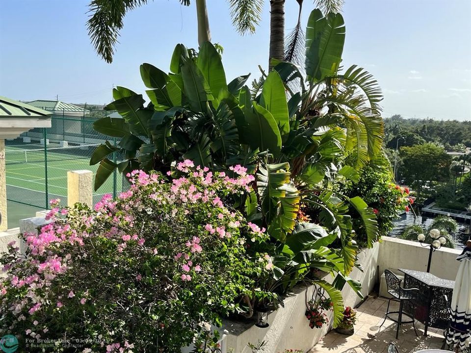 For Rent: $2,800 (1 beds, 1 baths, 900 Square Feet)