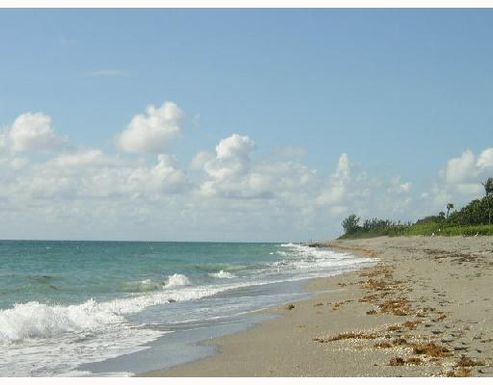  Venus, Juno Beach, FL 33408