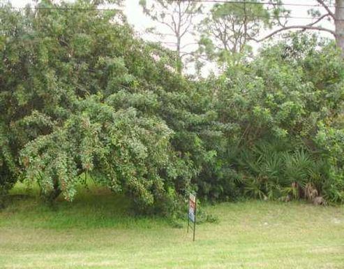 2847 PERU, Port Saint Lucie, FL 34984