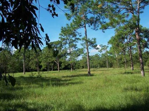  115th Trail AKA A-32, Jupiter, FL 33478