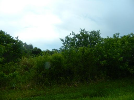 2482 Summit, Port Saint Lucie, FL 34984