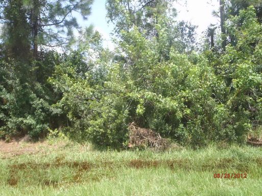 1549 Tiskilwa, Port Saint Lucie, FL 34953