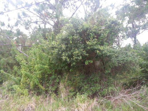 2014 Idaho, Port Saint Lucie, FL 34953