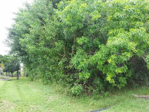 2942 Bella, Port Saint Lucie, FL 34984