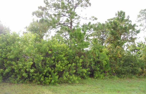 1922 Camilo, Port Saint Lucie, FL 34952