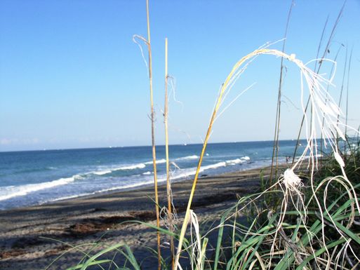 1306 13th, Jupiter, FL 33477