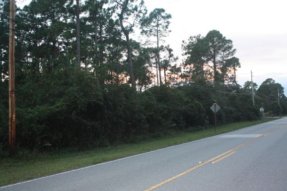 17564 Tangerine, Loxahatchee, FL 33470