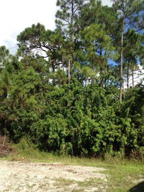 Xx 61st, Loxahatchee, FL 33470