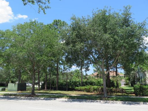 2668 Greenway, Jupiter, FL 33458