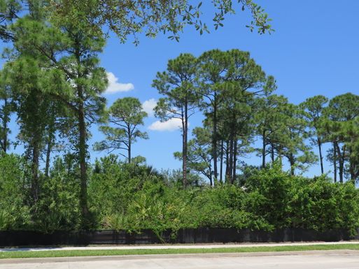 2624 Greenway, Jupiter, FL 33458