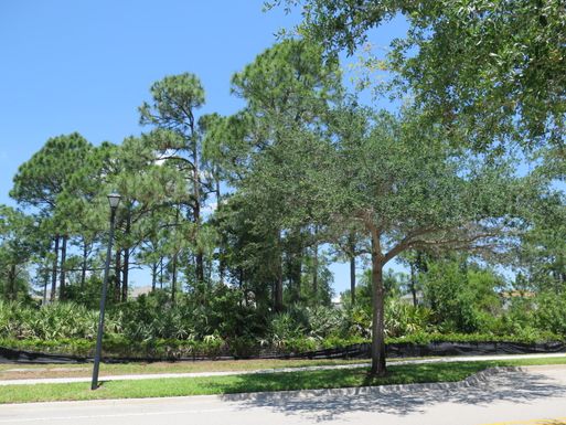 2632 Greenway, Jupiter, FL 33458