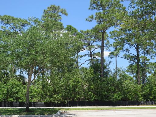 2612 Greenway, Jupiter, FL 33458