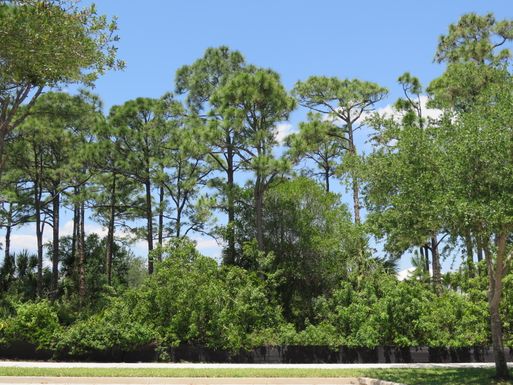 2608 Greenway, Jupiter, FL 33458