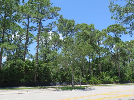 2594 Greenway, Jupiter, FL 33458