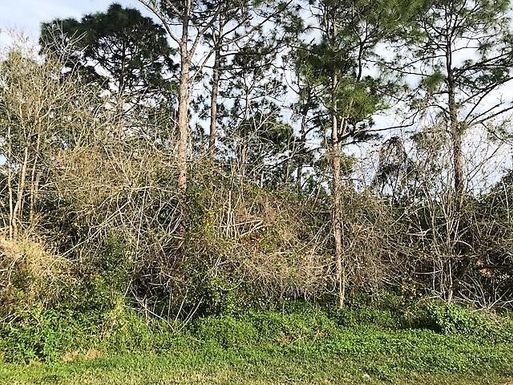 1541 Avens, Port Saint Lucie, FL 34983