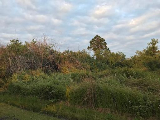 1671 Mcallister, Port Saint Lucie, FL 34953