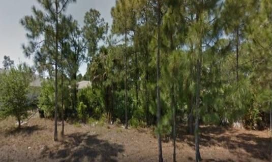 466 Saragassa, Palm Bay, FL 32908