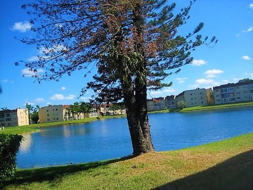 8920 Sunrise Lakes Bl, Sunrise, FL 33322