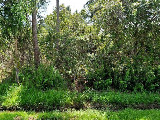 1642 Bellevue, Port Saint Lucie, FL 34953