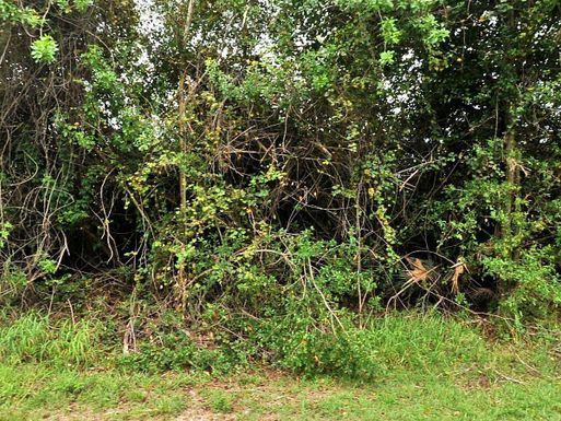 2092 Altman, Port Saint Lucie, FL 34953