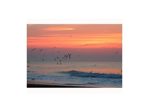 ) ), Miami Gardens, FL 33014