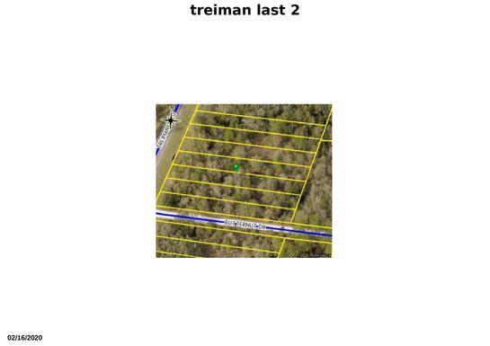 Tbd Treiman, Webster, FL 33597