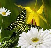 6865 Huntington, Delray Beach, FL 33446