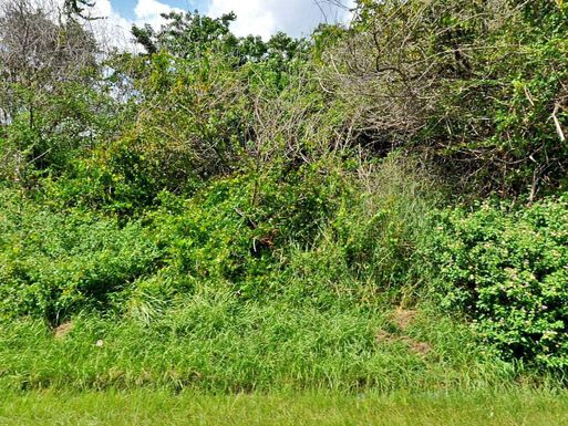 1717 Cameo, Port Saint Lucie, FL 34953