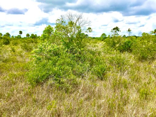 17818 310th, Okeechobee, FL 34972