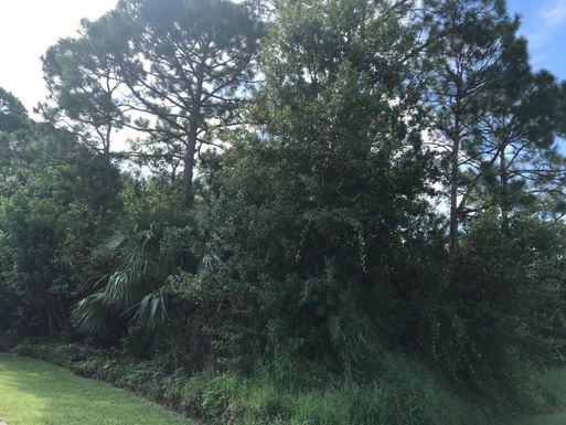 1541 Avens, Port Saint Lucie, FL 34983