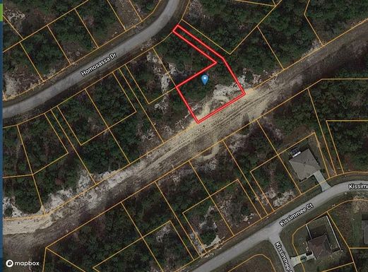 1322 Homosassa, Poinciana, FL 34759